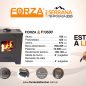 Estufa Forza Serrana F13500 - Calefacción a Leña